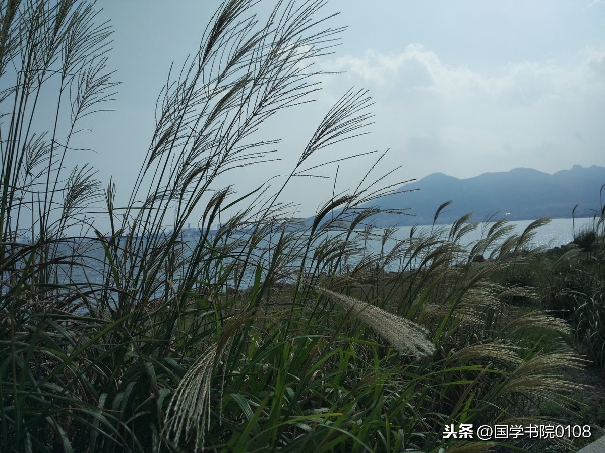 形容春天的古诗有哪些（赞美春天的10首古诗）