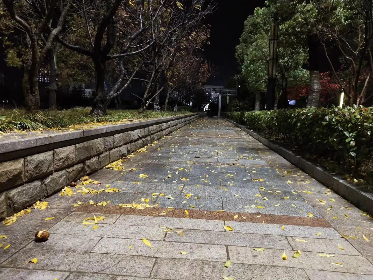 有关离别的现代诗（关于表达离别的诗句）