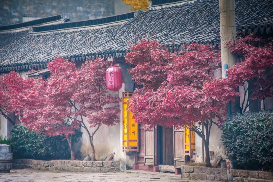 离别诗歌现代诗歌 （离别故乡的诗词）