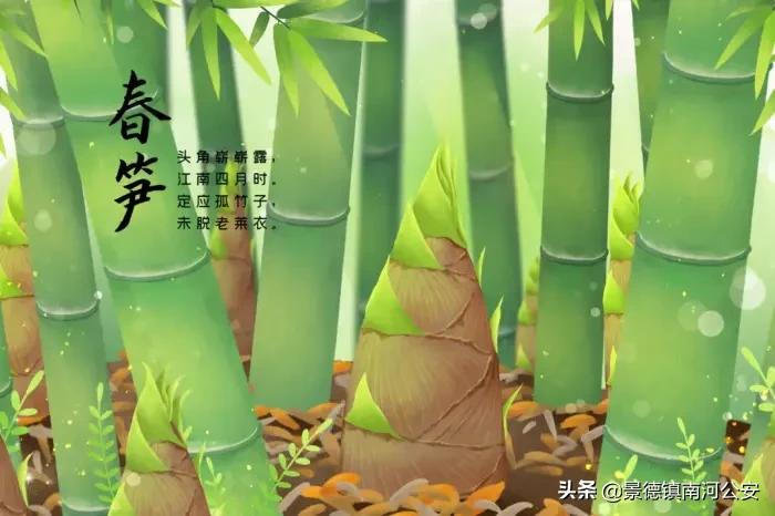 写春的诗句有哪些（有关于写春天的古诗）
