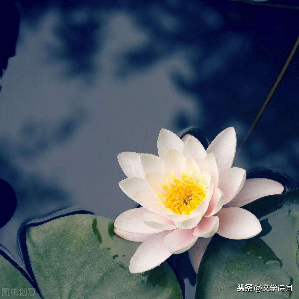 池上古诗的意思翻译（池上赏析注释以及译文）