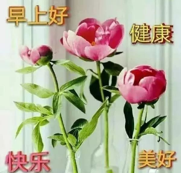天空很美的短句（赞美天空云层美景的句子）