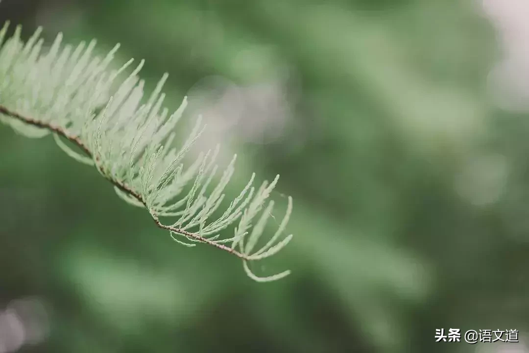 描写春天的现代短诗（以春天为主题的10首现代诗歌）