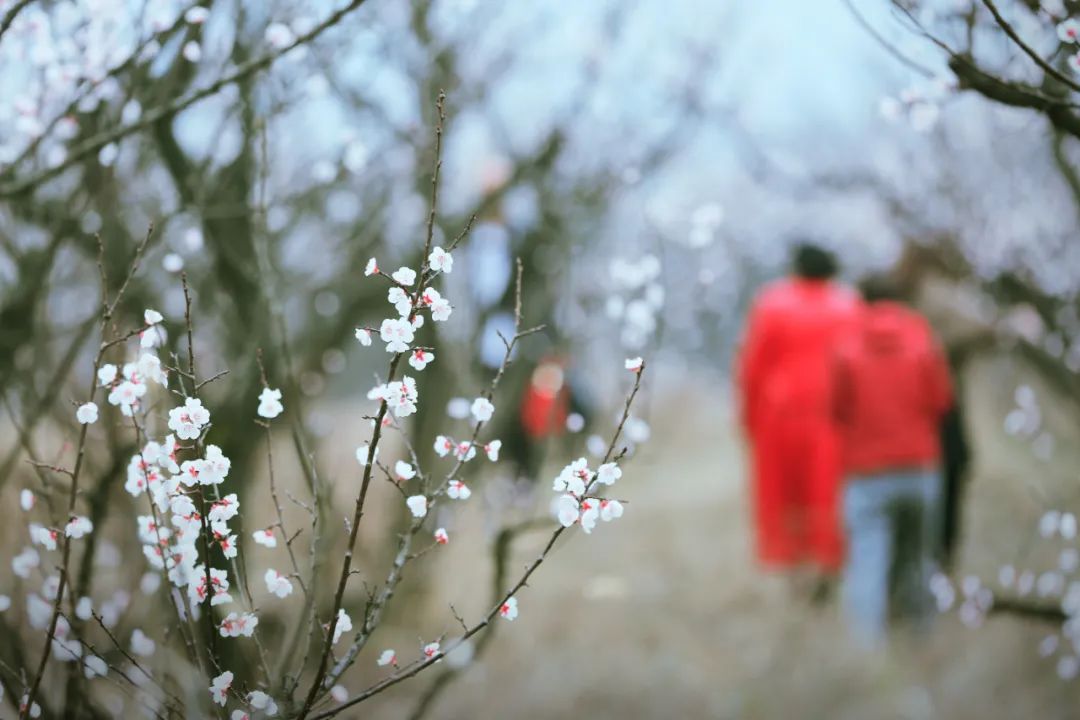 形容单相思的诗句（形容相思痛苦的诗句）