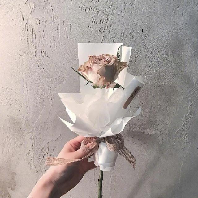 表达爱的语句（打动人心的爱情句子）