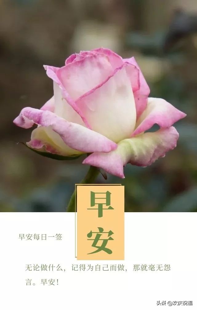周五早安心语句子（好听的早安问候语）