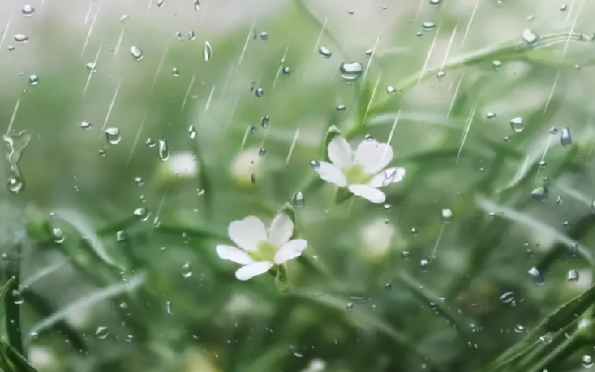 描写雨的古诗有哪些（雨意朦胧的10首古诗词赏析）