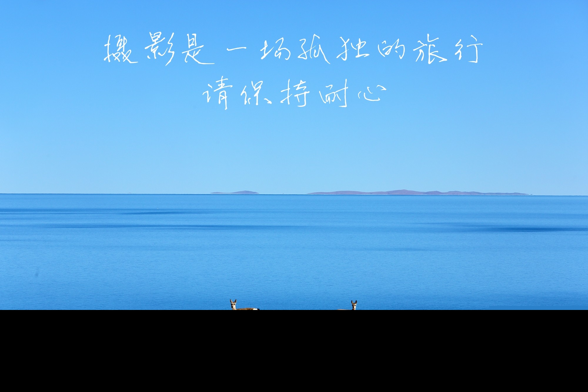 关于摄影的名言名句（镜头留住美好瞬间的摄影金句）
