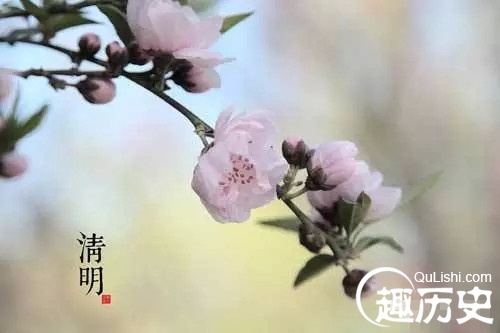 描写清明节的古诗句有哪些（关于清明节的古诗名句）