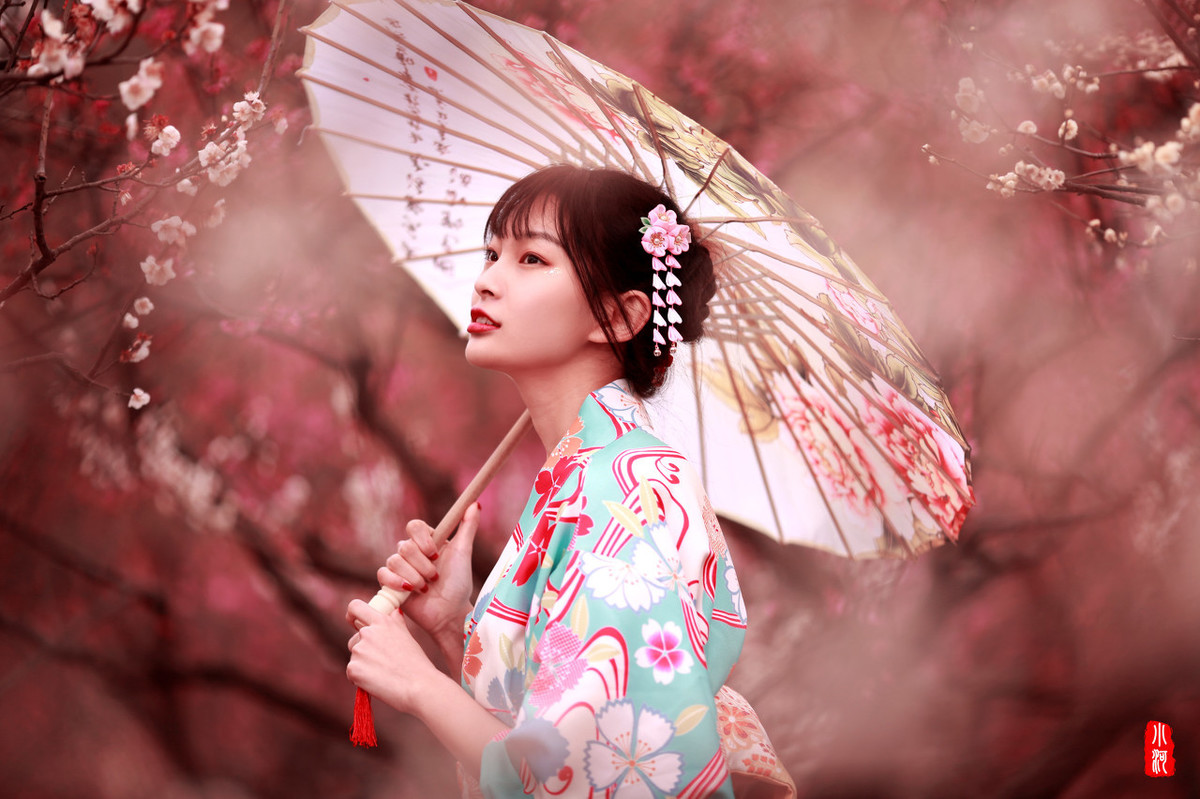 形容梅花的词语有哪些（盘点赞美梅花的成语）