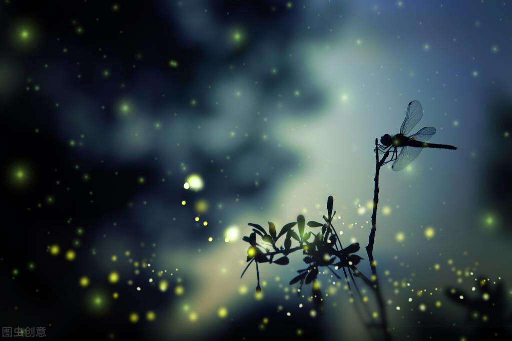 冬天夜晚霓虹灯下的唯美句子（描述霓虹灯下的夜景）