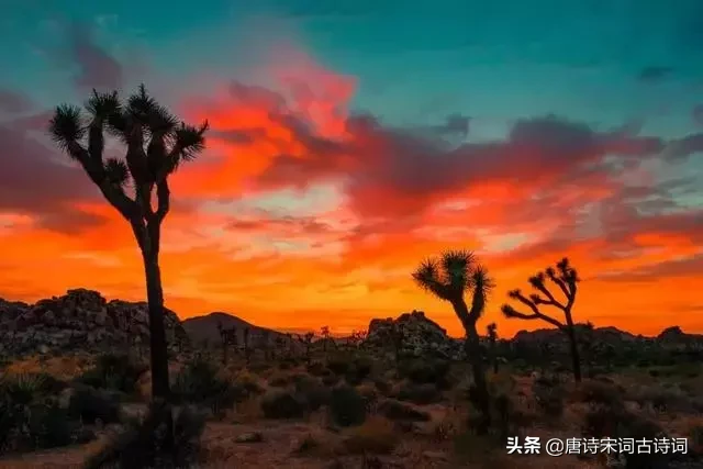 描写夕阳的诗句有哪些（关于夕阳的诗句大全）