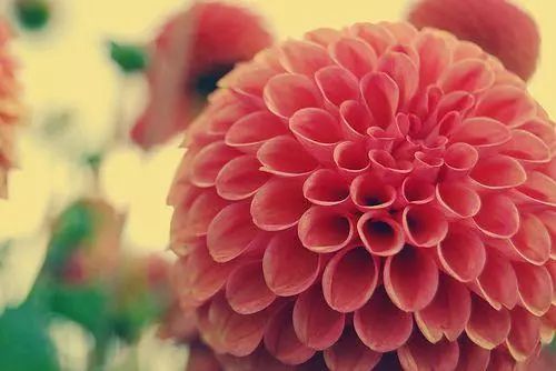 关于幸福的优美句子开头（幸福优美句子素材摘抄）