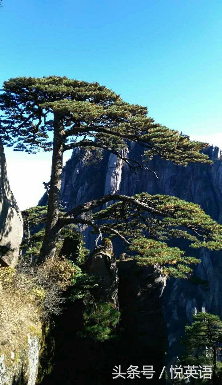 赞美黄山的诗句有哪些（描写黄山之美的所有古诗词）