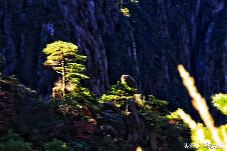 赞美黄山的诗句有哪些（描写黄山之美的所有古诗词）