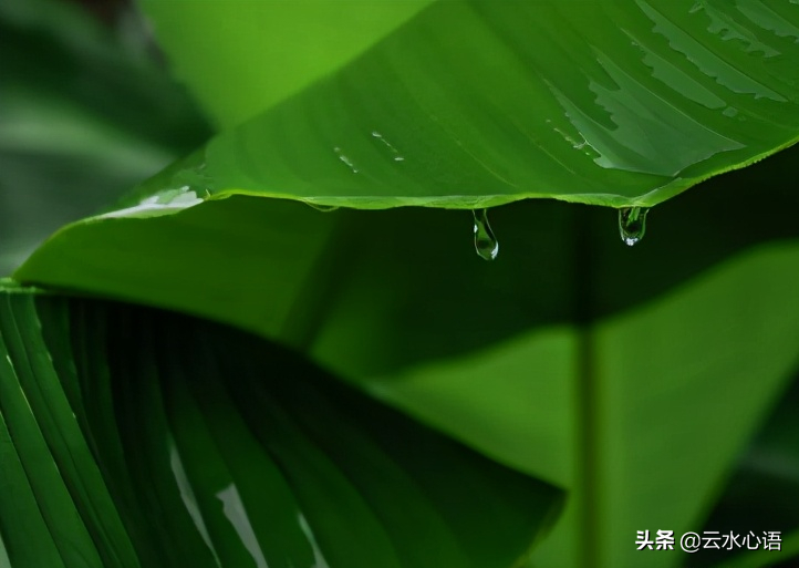 借景抒情的古诗名句（借景抒情的典型诗句）