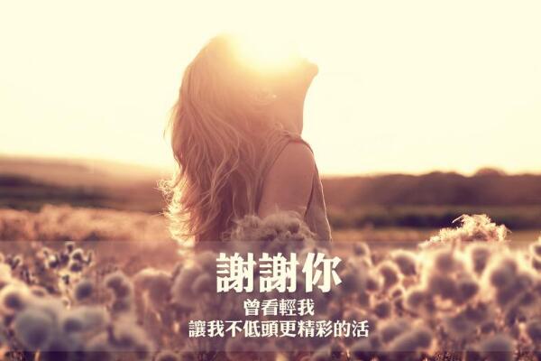 想表达谢谢的句子（懂得感恩的正能量短句）