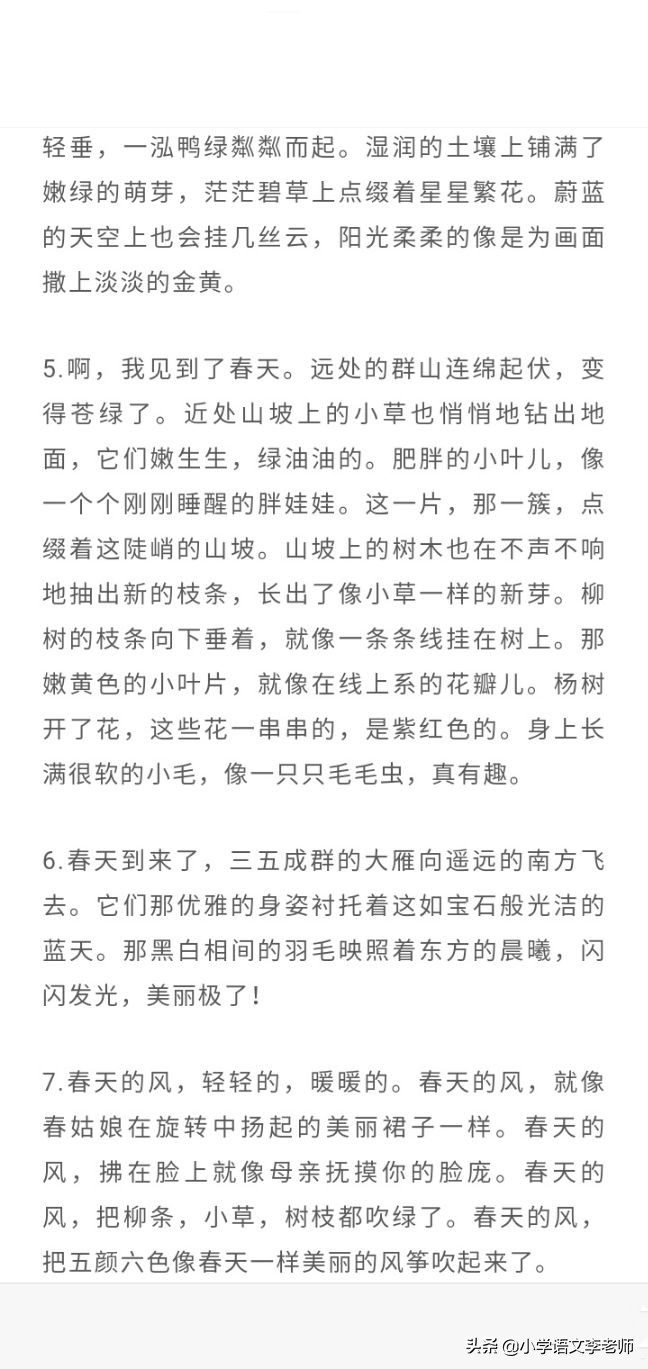 比喻春天的句子有哪些（有关春天的美句摘抄大全）