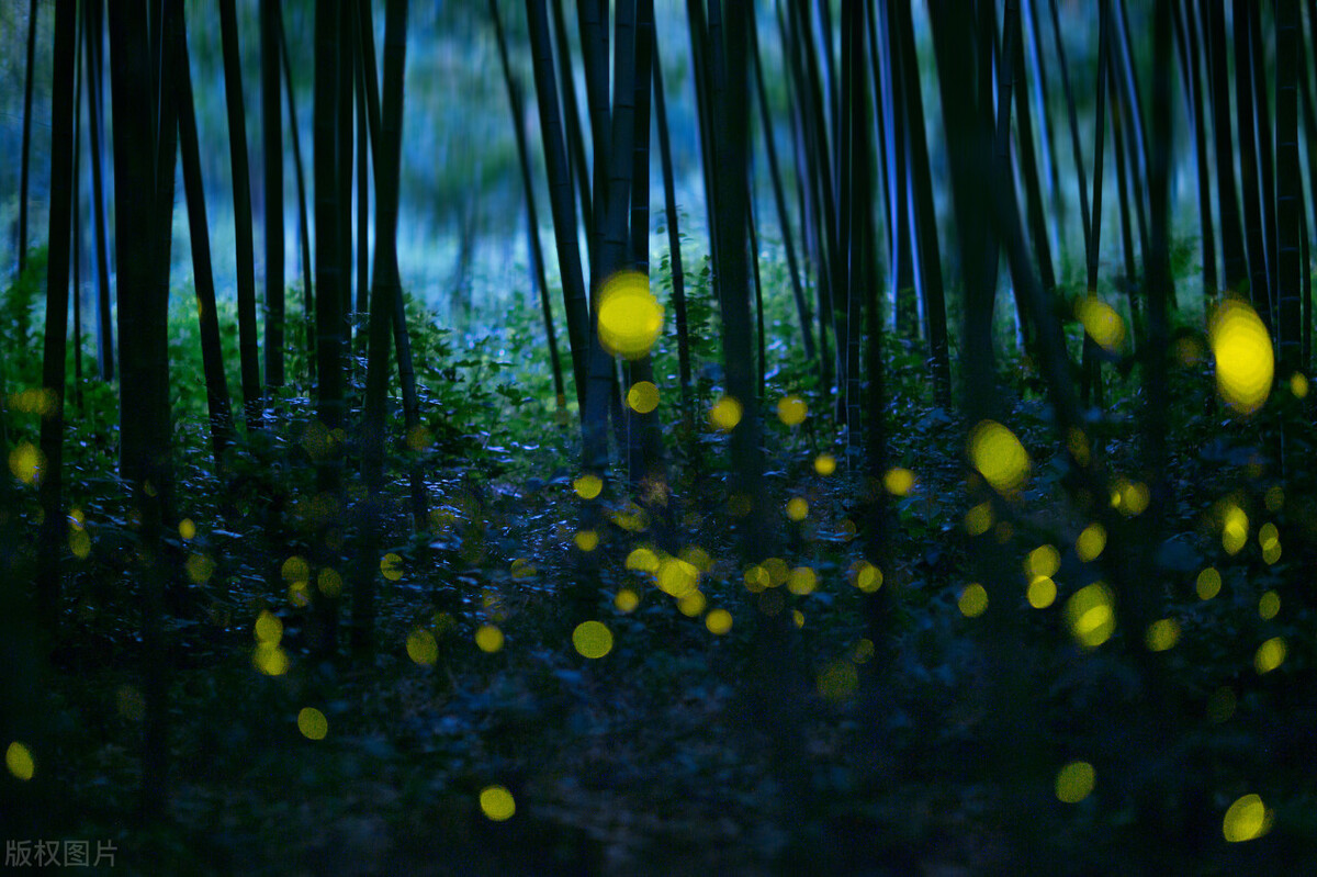 冬天夜晚霓虹灯下的唯美句子（描述霓虹灯下的夜景）