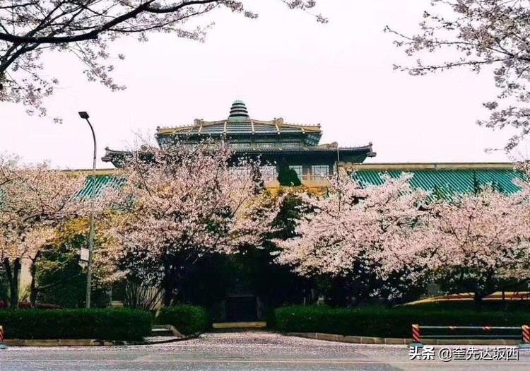 春天的诗句景色现代诗（春天的诗歌现代诗分享）