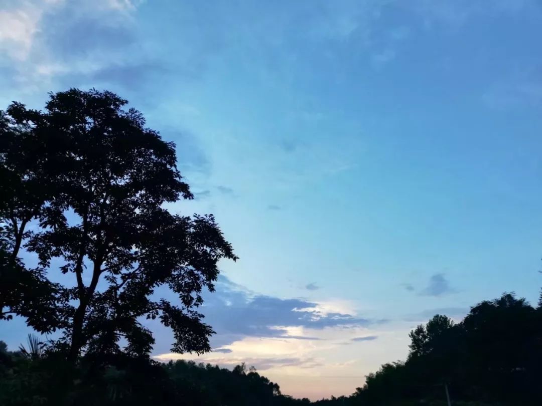 适合摘抄的现代诗（现代诗歌摘抄大全）
