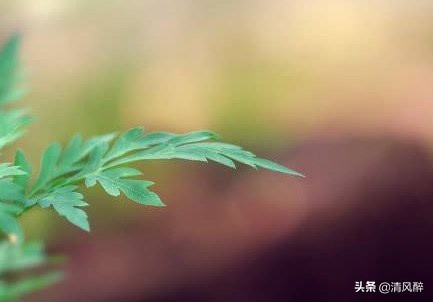 遗憾的爱情说说句子（最适合发圈的爱情伤感句子）