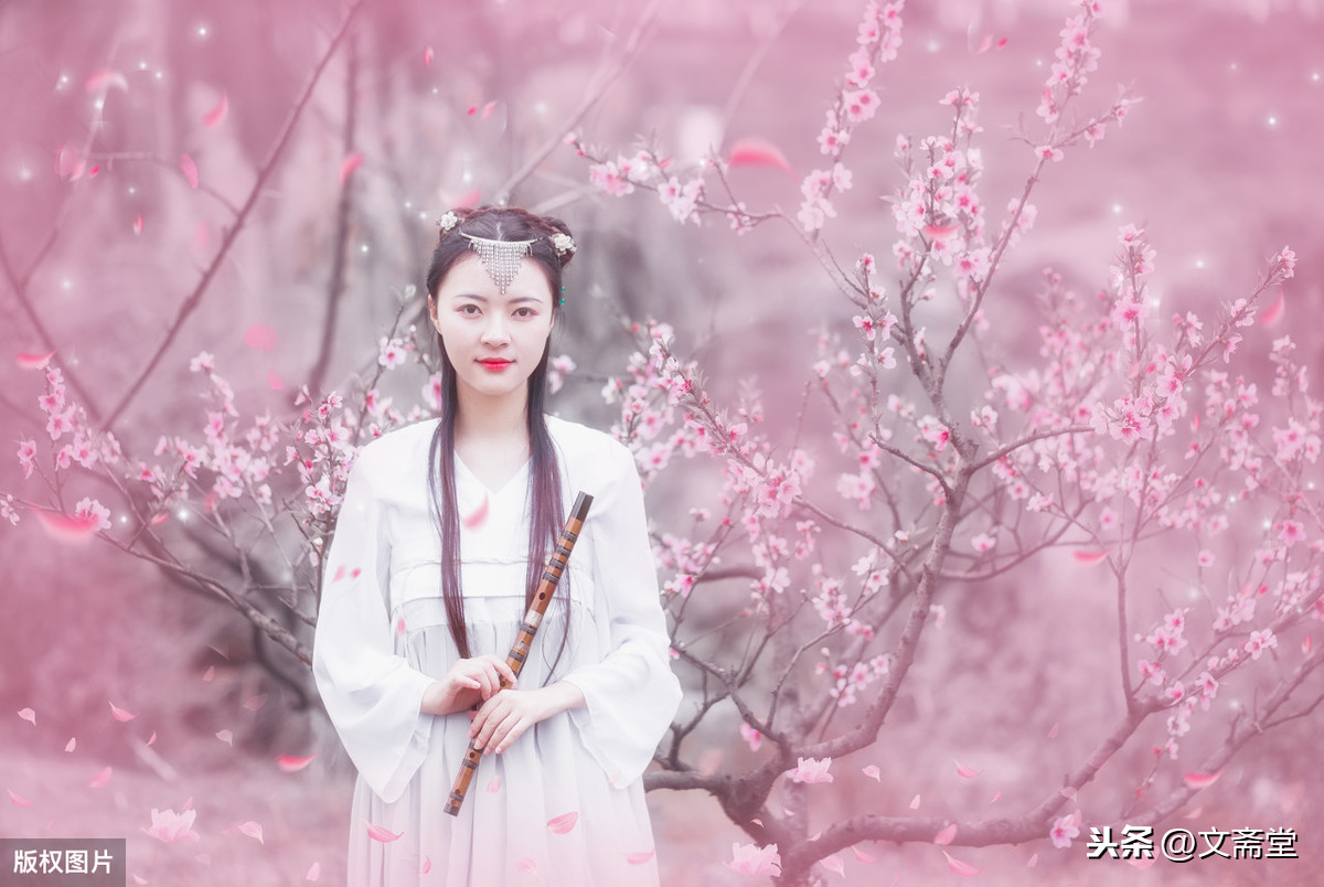 爱情散文诗精选（浪漫爱情的抒情散文诗）