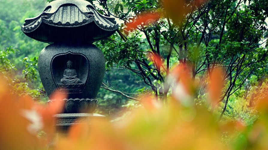 初中诗词赏析技巧（中国著名古诗词赏析大全）