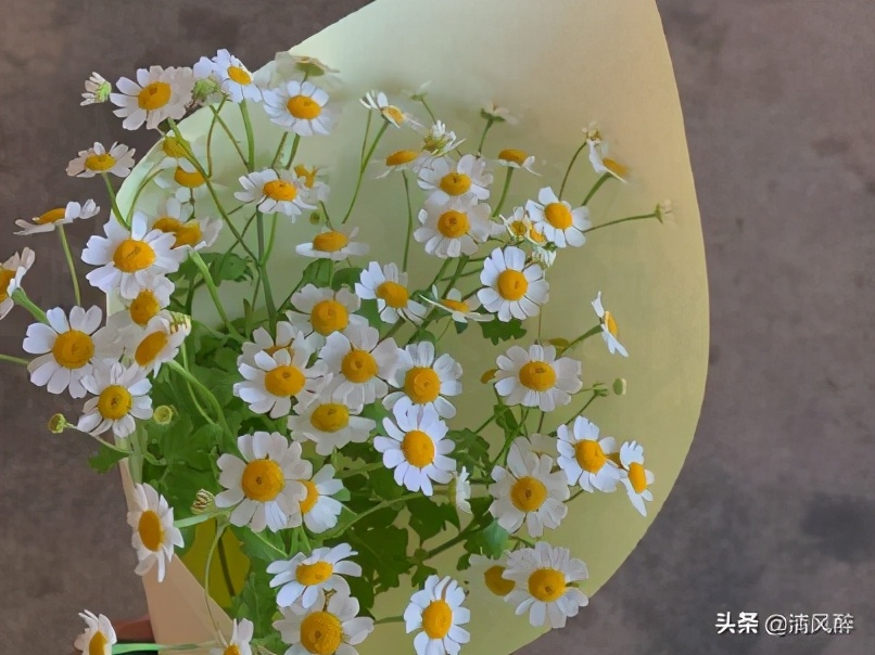 爱笑的女孩唯美句子（形容爱笑的句子简短）