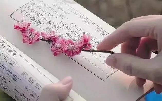 春天优美散文段落（名著优美段落摘抄大全）