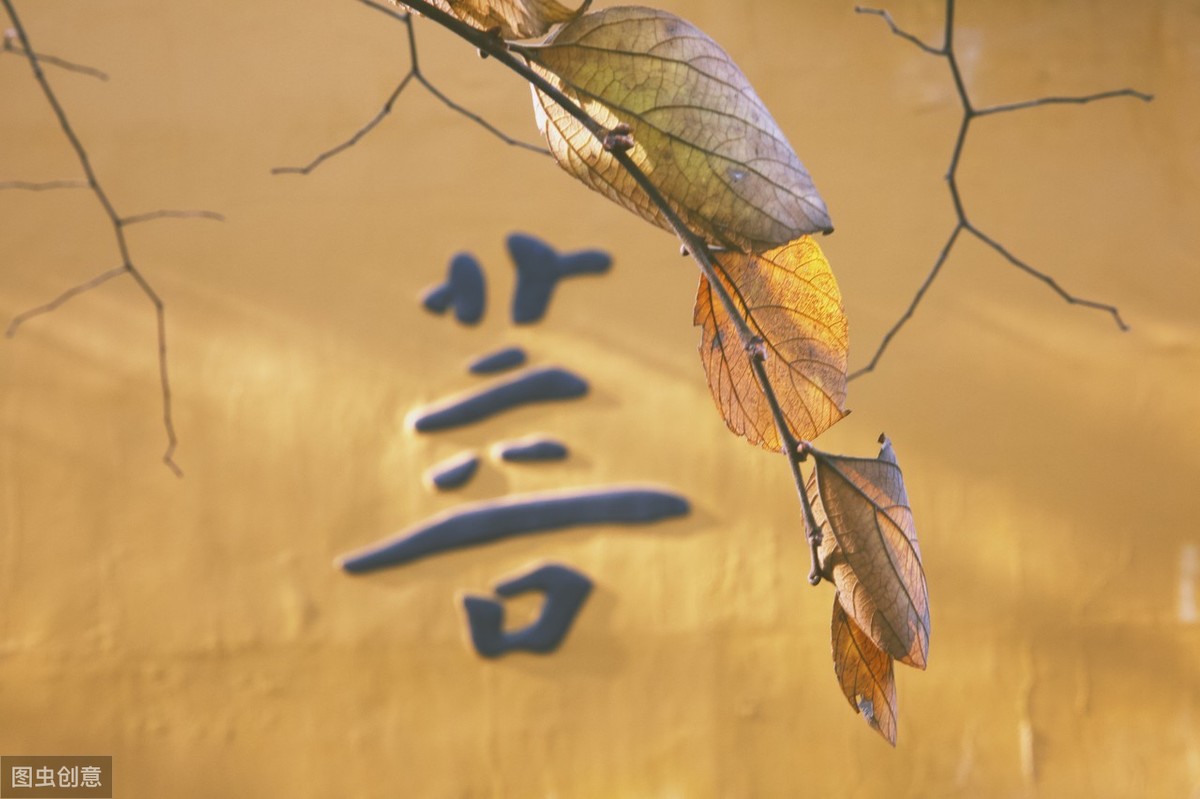 人生十有九不如意全句（关于人生不如意的经典句子）