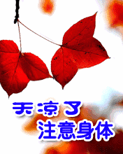 天空很美的短句（赞美天空云层美景的句子）