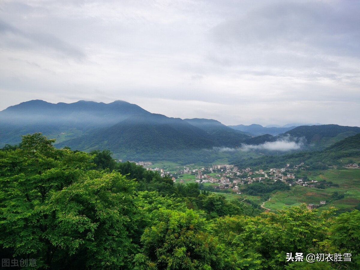 描写夏季的古诗有哪些（赞美夏季的8首古诗词）