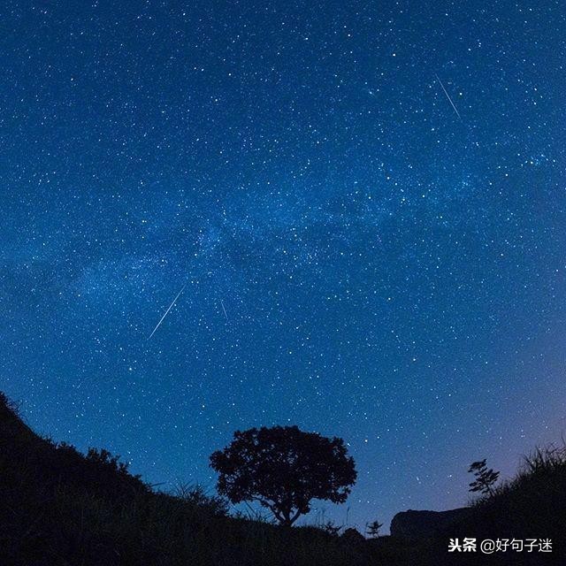 晚安语录经典语录暖心（最暖心晚安心语哲理一句话）