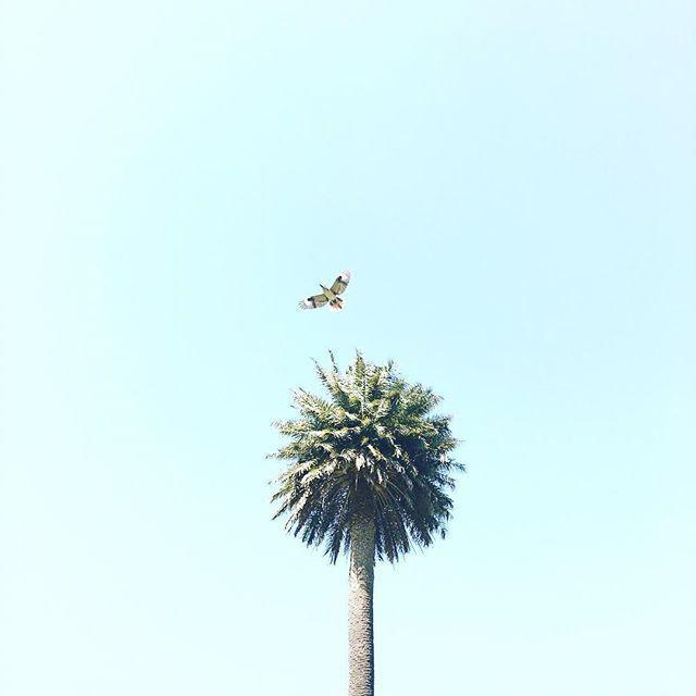 赞美早起的经典句子（早上好励志语录经典短句）
