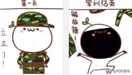 关于军训的段子大全（搞笑幽默的军训记录文案）