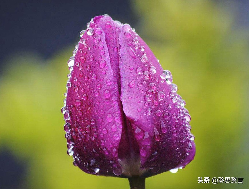 生日诗词大全唯美句子（精选这42首祝福古诗）