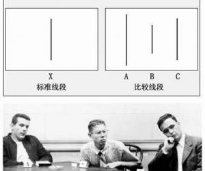 饮酒陶渊明古诗赏析（饮酒全诗内容和诗意解答）