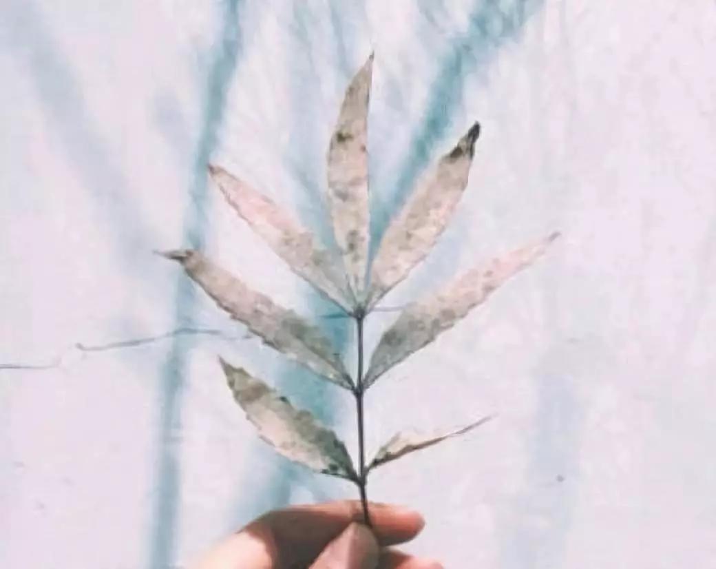 闺蜜友谊长久的唯美句子（一句最友谊暖心的句子分享）
