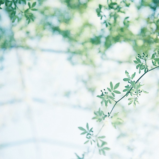 描写夏天的散文名篇（林清玄写的夏天的散文）