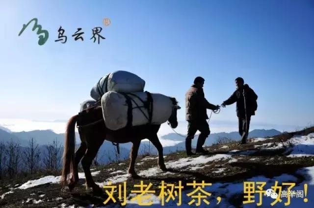 关于刺绣的诗句有哪些（赞美刺绣绣得好的诗句）