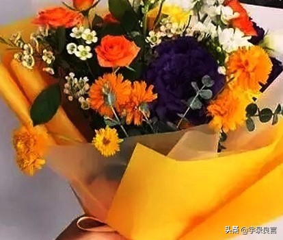 孩子需要陪伴经典语录（亲子活动发朋友圈的文案说说）