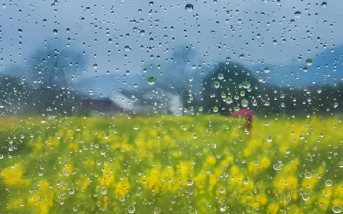 描写雨的古诗有哪些（雨意朦胧的10首古诗词赏析）