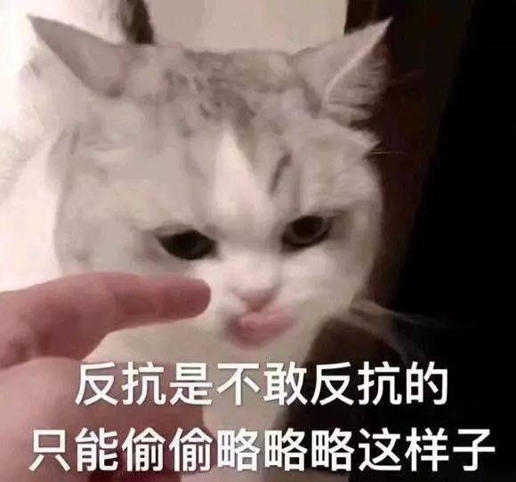 在幼儿园过生日的说说（祝幼儿园宝贝生日句子）