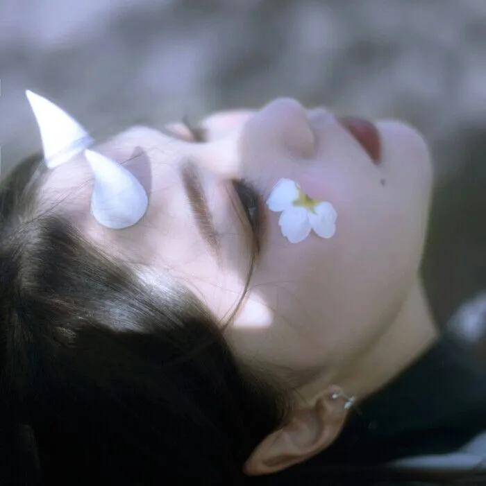 朋友圈晒百合花的说说（赞美百合的简短语句）