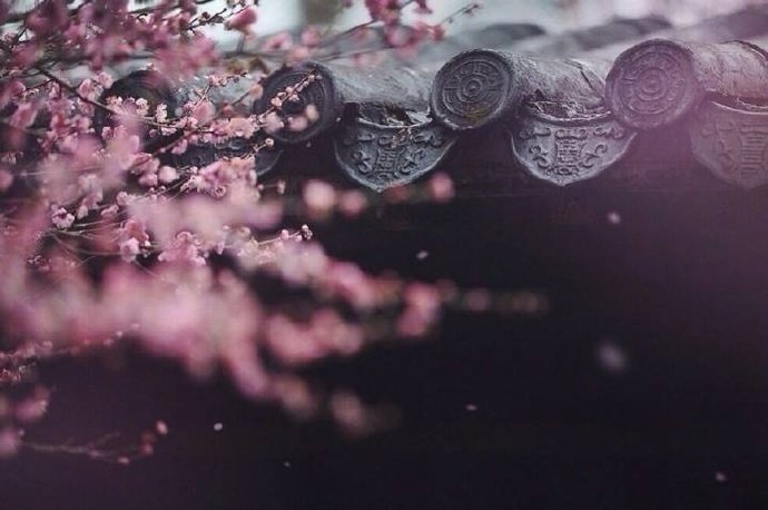 分别时不舍的优美话语（关于分别的经典诗句）