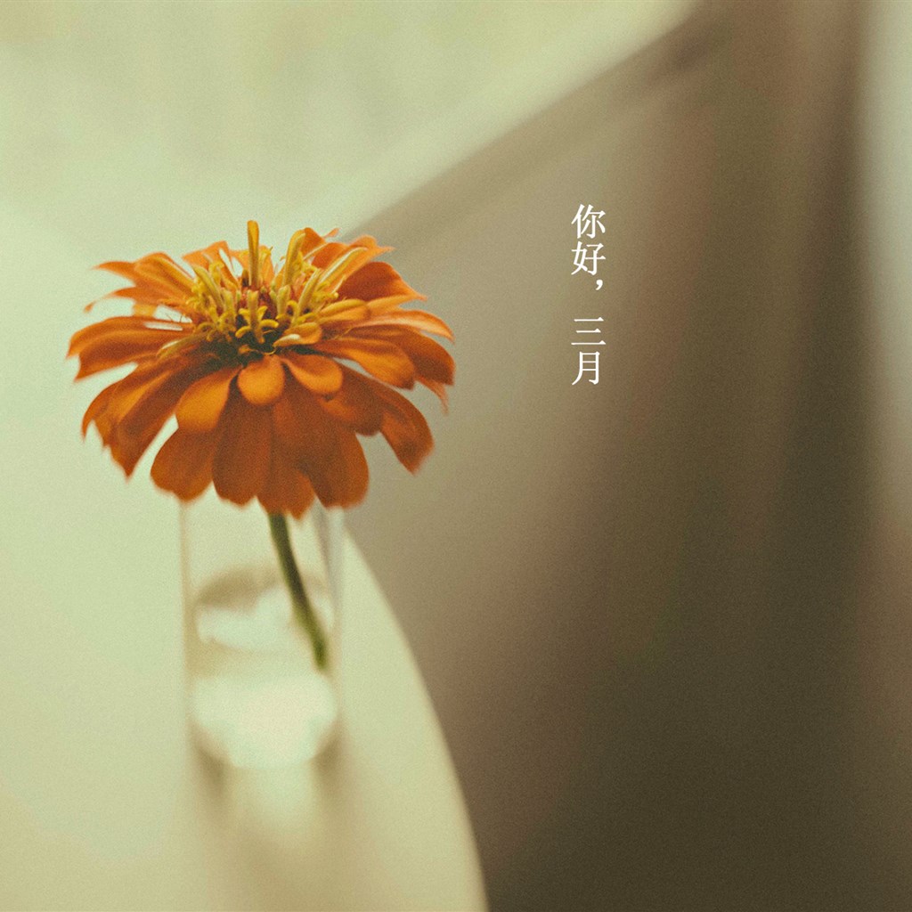 发朋友圈描写三月的句子（关于三月份的精美短句）