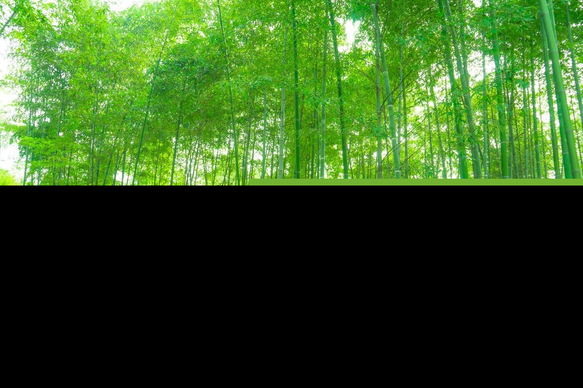 描写夏天景物的古诗有哪些(关于夏天景物的古诗词赏析）