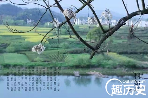 描写清明节的古诗句有哪些（关于清明节的古诗名句）
