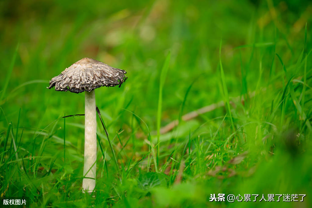 节日爱与被爱的经典语句（适合发朋友圈正能量短句）